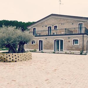 La Pineta del Borgo